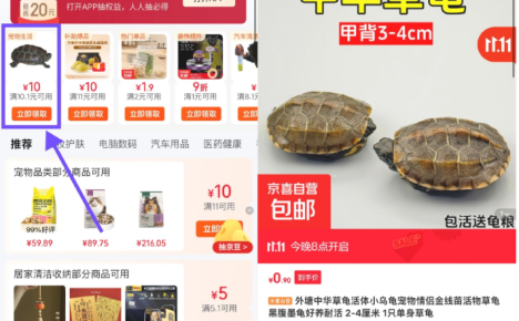 京东京喜0.9亓撸小乌龟包邮